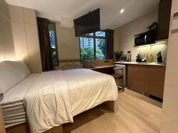 Mount Elizabeth Link (D9), Condominium #466086741